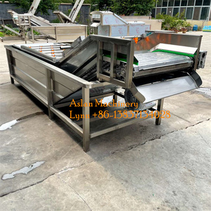 Tự động 1000 kg/giờ rau bina & Apple Máy làm sạch không khí bong bóng loại-cho Trái Cây Đậu Tương & nước nguyên liệu - Product Image 5