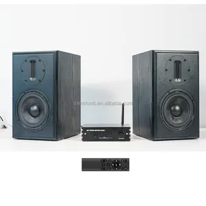 Samtronic Pair of Bookshelf or Surround Speakers digital amplifier set with HI-FI Passive bookshelf speaker ribbon tweeter A528