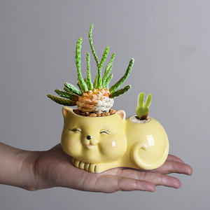 <span class=keywords><strong>Maceta</strong></span> <span class=keywords><strong>de</strong></span> Cerámica con Diseño <span class=keywords><strong>de</strong></span> Gato, Linda y Creativa, para Plantas Suculentas, <span class=keywords><strong>Maceta</strong></span> <span class=keywords><strong>de</strong></span> Cerámica Blanca Simple - Product Image 4