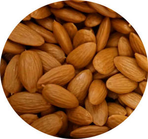 Vendita diretta in fabbrica di gherigli di simulazione plastica artificiale piselli Natto semi di soia modelli Wolfberry perline di plastica acrilica <span class=keywords><strong>Lucite</strong></span> - Product Image 5