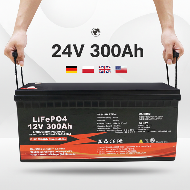 12V 24V LiFePO4 Battery 50Ah 100Ah 200Ah 300Ah 400Ah for Energy Storage