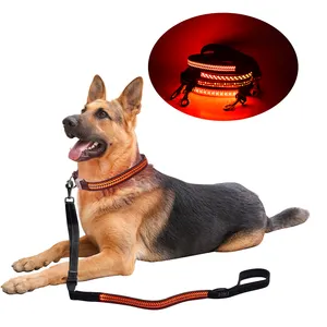 2021 New Pet Supplies Leashes Rope Dog Accessories Retractable Light Up Products Pet Leash With Led
