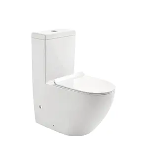 Desain Baru Mangkuk Toilet Washdown Satu Buah Outlet 4 Inci, Mangkuk Toilet Toilet Keramik Tanpa Bingkai