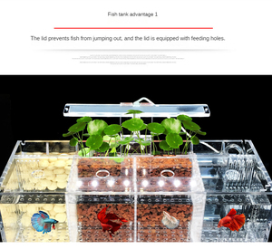Acuario de Lujo para Barra - Pecera de Vidrio Personalizada para Uso Comercial/Doméstico, Moderna Vitrina de Agua - Product Image 1