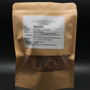 Champignons Sparassis Crispa séchés de haute qualité en promotion – Champignons de choux-fleurs - Product Image 6