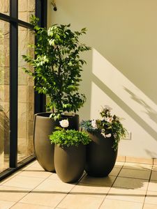 <span class=keywords><strong>Maceta</strong></span> <span class=keywords><strong>de</strong></span> aspecto delicado, grande, China, venta al por mayor, nueva <span class=keywords><strong>maceta</strong></span> redonda - Product Image 3