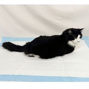 Tapis d'apprentissage jetables en charbon de bambou pour chiens et chiots, pour l'entraînement à la propreté des animaux - Product Image 6