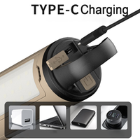 Lampe de camping à 3 feuilles pliable pour l'extérieur étanche IPX4 Portable rechargeable 200 Lumen avec crochet Lampe flash de tente à LED