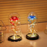 Lampu LED String dengan Kubah Kaca Mawar Berlapis Emas Buatan Tangan, Bunga Abadi dengan Kemasan Kotak Hadiah, Hadiah Romantis untuk Hari Valentine