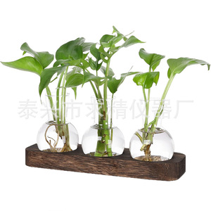 Glass Hydroponic <b>Vases</b> With Wooden Tray Round Shape Tabletop Decor For Plants - Product Image 3