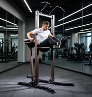 Tour de musculation multifonctionnelle pour tractions et dips, équipement de fitness pour usage domestique et commercial, rack d'entraînement de force pour entraînement complet du corps