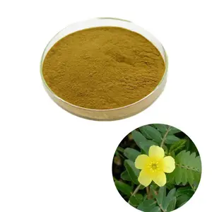 Natural Human Care Tribulus Terrestri Extract 90% Saponins