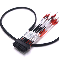 Arnés de Cableado Automotriz con Núcleo de Cobre Personalizado, Cable de Nylon/PVC/PTFE Multi-AWG para Sistemas de Control Electrónico de Vehículos