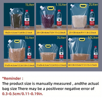Pochettes à bec verseur pour emballage de bière et vodka 1L 2L 3L 5L, résistantes à l'humidité, avec impression hélio, épaissies, pour stockage de céréales, transparentes