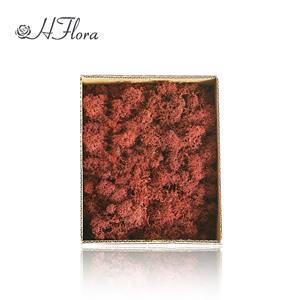 HFloral Vente en Gros – Boîte de 200g de Panneaux de Mousse Éternelle Verte Préservée pour Décoration Murale de Restaurant et Hôtel, Saint-Valentin, Longue Durée (3-5 ans) - Product Image 2