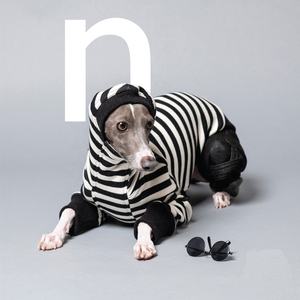 Qiqu पालतू पशुओं की आपूर्ति कस्टम नए डिजाइनर कुत्ते hoodies इतालवी ग्रेहाउंड साल की उम्र Iggy sighthound Rompers Jumpsuit अल्पाइन ऊन - Product Image 5