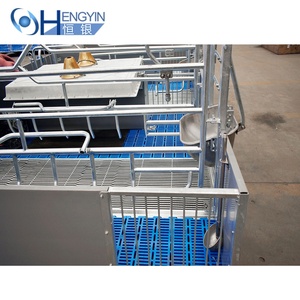 Lớn lợn trang trại 1000 lợn nái farrowing lồng gieo bút farrowing Crate cho lợn - Product Image 3