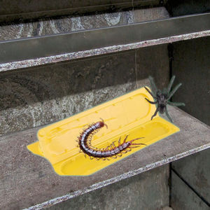 Zhuoying papan celup serangga, Gel padat profesional, stiker lalat dua tautan, kebutuhan harian pertanian efektif, membunuh kutu - Product Image 2