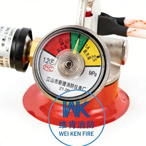 Extintor de Incêndio Automático de Pó Seco de Aço Modelo WK da Marca Hazardous Chemical Fireball, Tamanho Personalizável - Product Image 2