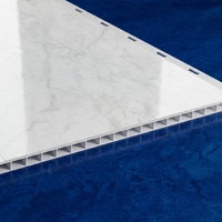Tiras de PVC Blancas de Alto Brillo para Techo, 250 mm de Ancho, Diseño Interior de Lujo Accesible, Fácil de Limpiar, Material de Construcción Duradero