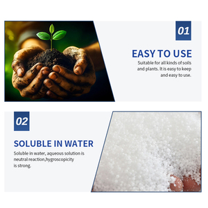 Urée Engrais pour plantes pour fleurs et jardins d'intérieur/extérieur-Favorise une croissance luxuriante-Laitue, pelouses vertes, fruits - Product Image 3