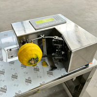 Fabrieksgroothandel Automatische Fruit Schilmachine Digitale Besturing RVS Elektrische Sinaasappel Appel Citroen Schiller