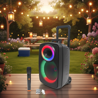 Karaoké extérieur, microphone sans fil 12 pouces, 20W RGB pour système audio Hi-Fi 5.0, double microphone, batterie 3600mAh, télécommande