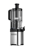 Compacte Lage Ruis Slow Cold Juicer Voor Groenten En Fruit Sinaasappelpers