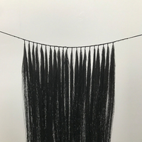 Vente directe d'usine Extensions de cheveux invisibles de haute qualité Méthodes d'ajout de volume aux cheveux Plumes de cheveux Faciles à installer Belles