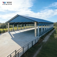 Structure en acier économique pour entrepôt, bâtiment en acier ouvert résistant au vent, ossature d'entrepôt en acier, abris métalliques pour parcs, pavillons