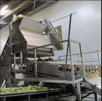 Roestvrijstalen Verse Maïs Maïs Stripper Sheller Cutter Machine/Maïs Stripping Beschietingsmachine