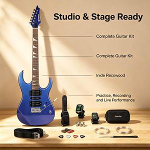 Guitarra Eléctrica D-150 Morada, Cuerpo de Tilo, Mástil de Arce Canadiense, Acabado Brillante, 24 Trastes y Puente D-15 - Product Image 6