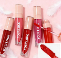 Vente en gros, stock disponible, faible MOQ, maquillage, marque privée, rouge à lèvres brillant et mat, végétalien, soin des lèvres, gloss