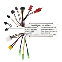 Contrôleur de moteur sans balais 36V 15A universel LIVIAE avec écran LCD couleur et kit d'accélérateur pour pièces de trottinette électrique