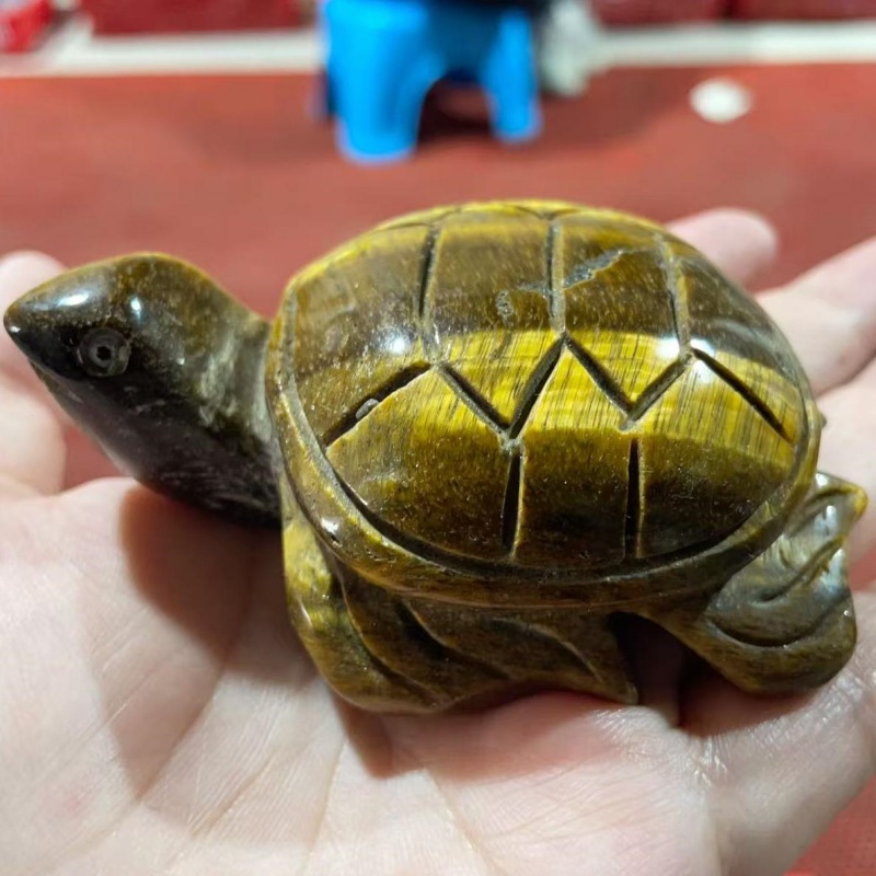 tiger eye turtle