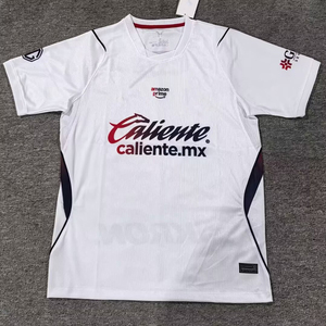 Camiseta de Fútbol Chivas 2026 <span class=keywords><strong>Armando</strong></span> González, Diseño Rayas Local y Blanco Visitante, Uniforme de Fútbol de Secado Rápido y Transpirable para Hombre - Product Image 2