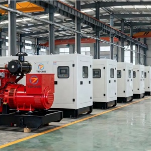 定制 OEM 160 千瓦 200 千伏安 50/60 赫兹柴油发电机 开放式 静音外壳 ATS 100% 铜质交流发电机 中型工厂 - Product Image 1