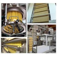 Machine automatique de fabrication de pâtes à usage professionnel, extrudeuse de nouilles en spirale motorisée pour la production de macaroni et de spaghetti