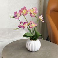 Nouveauté en gros : Plantes artificielles d'intérieur, orchidées Phalaenopsis simulées en pot, Bonsaï