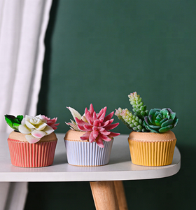 Maceta de Cerámica Esmaltada de Dos Tonos, Estilo Vintage, para Suculentas, con Orificio de Drenaje, Diseño de Cupcake, para Hogar y Jardín - Product Image 3