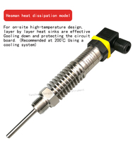Sensor Suhu OEM Hesman, Termistor Pt100, Pipa Sisipan, Baja Tahan Karat, Tahan Air IP68, Probe Ulir Tetap
