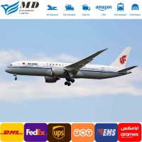 Livraison rapide, société de transport aérien professionnelle - Agent de livraison directe Wingspeed vers les États-Unis, la France, l'Allemagne, l'Italie