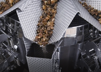 Machine d'emballage automatique multifonctionnelle SG-210 pour le remplissage et l'étiquetage des sachets alimentaires, films et pochettes préformées