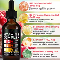 Ausreson Halal Biologique Complexe de Vitamines B Liquide Vitamine B1 B6 B12 pour l'Énergie – Complément Liquide Vitamine B Complexe en Gouttes