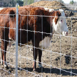 Nhà Cung Cấp Trung Quốc Điện Hàng Rào Lưới/Cừu Hàng Rào <span class=keywords><strong>Net</strong></span>/Trang Trại Điện Hàng Rào - Product Image 2