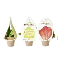 Prix d'usine échantillon gratuit carton ondulé personnalisé en pot plante intérieure expédition plante boîte d'emballage