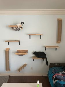 أثاث حديث على شكل قطة, أثاث عصري على شكل قطة ، يستخدم في التسلق ، يستخدم في أرفف حائط مختلفة الأشكال بأرجوحة للقطط - Product Image 5
