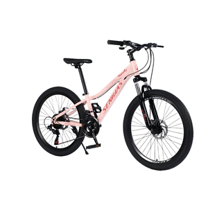 Vélo de montagne cool pour adultes, 24 à 26 pouces, avec frein à disque double, 21 vitesses, vélo de montagne pour hommes - Product Image 5