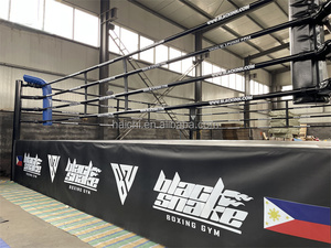 Ring de <span class=keywords><strong>Lucha</strong></span> <span class=keywords><strong>Libre</strong></span> Multifuncional <span class=keywords><strong>WWE</strong></span> con Logotipo OEM, Tamaño 6mx6m, para Niños - Product Image 2