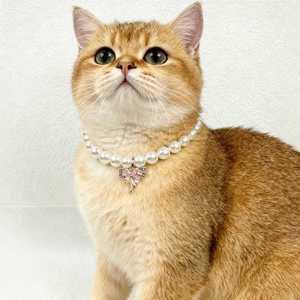 Collier élégant en perles pour animaux de compagnie, accessoires pour chats, collier de mariage pour chiots et chats, bijoux de mode avec pendentif cœur - Product Image 6